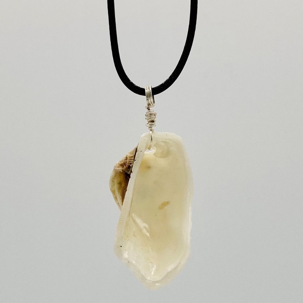 Shell Pendant on 20" Black Cord Necklace; B20-04